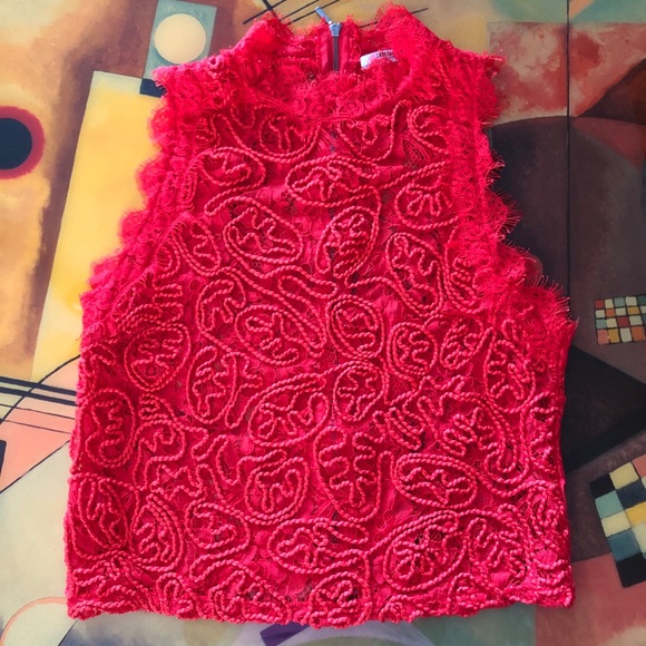 Zara Trafaluc Top Embroidered lace Size S - Picture 2 of 8